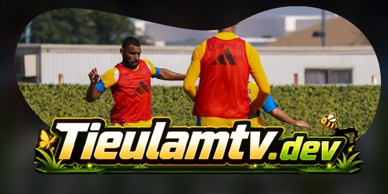 Nhận định kèo Queretaro FC vs Tigres UANL 06h00 02/08