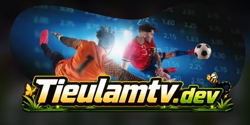 Kênh liên hệ kỹ thuật hỗ trợ xử lý lỗi nhanh hơn